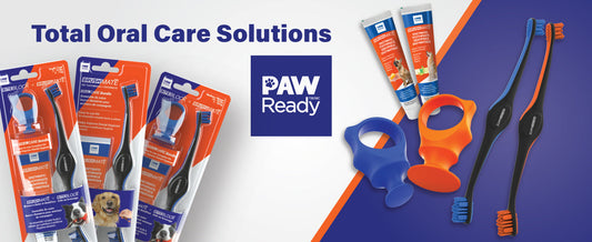 Dog Teeth Cleaning Tools