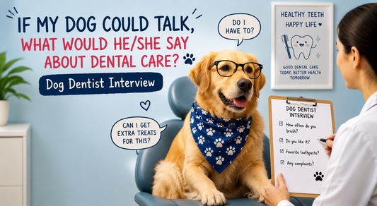 If My Dog Could Talk, What Would He/She Say About Dental Care