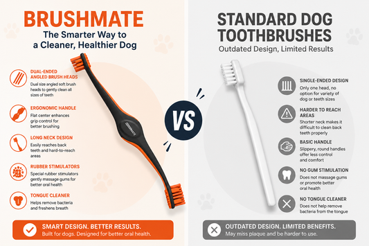 BrushMate vs. Standard Dog Toothbrushes: Which Cleans Better?