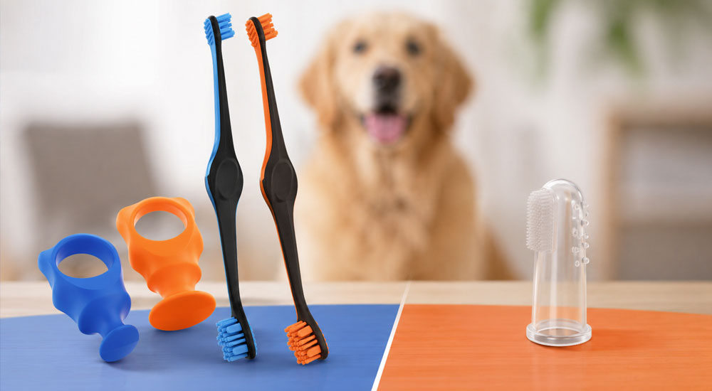 Finger Brushes vs. BrushMate: Which Offers Better Reach?