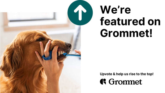 IT’S OFFICIAL: Paw Ready Is Featured on The Grommet 🎉