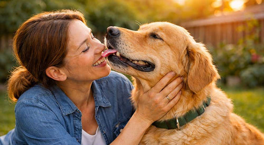 How to Make Toothbrushing a Bonding Moment With Your Dog