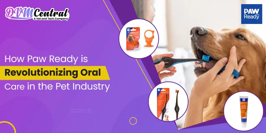 Paw Ready’s Mission to Transform Pet Dental Health