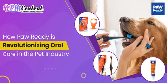 Paw Ready’s Mission to Transform Pet Dental Health