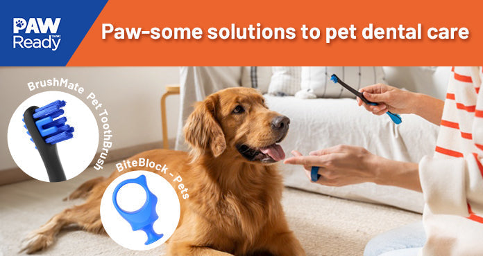 The Link Between Doggie Dental Health and Overall Well-Being