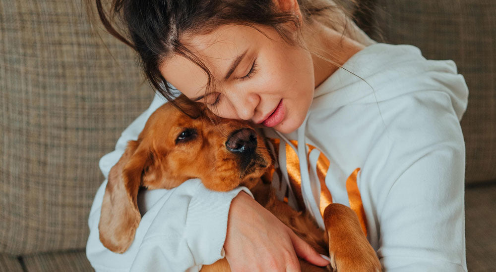 7 Things To Do to Keep Your Dog Healthy