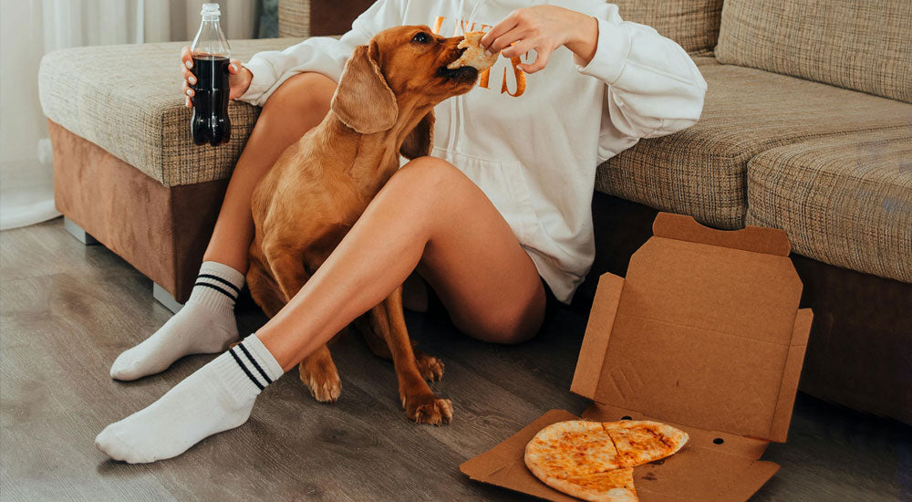 Is Human Food Safe for My Dog?