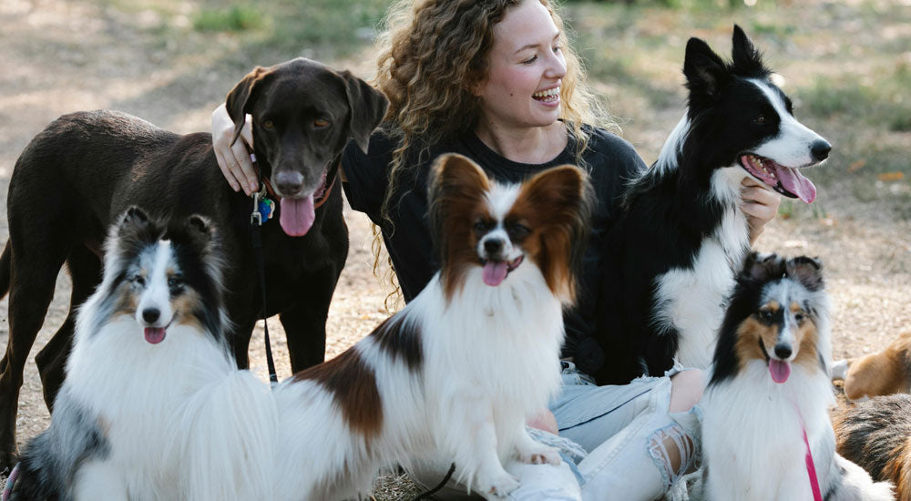 What Breed is Best for My Lifestyle or Family?