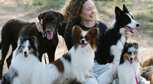What Breed is Best for My Lifestyle or Family?