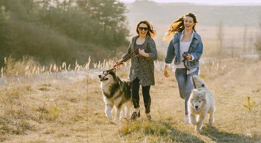 To the Women Who Do It All (Including 6AM Walks)