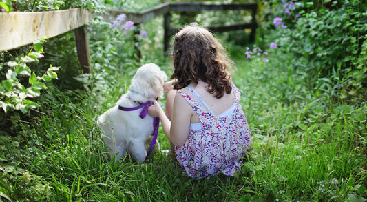 What Dogs Bring to Your Life That Friends Can't