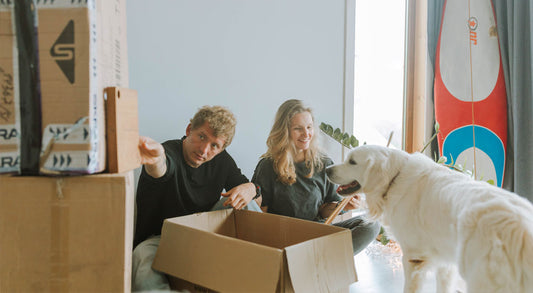 How to Move Somewhere New With Your Pet - Stress-Free!