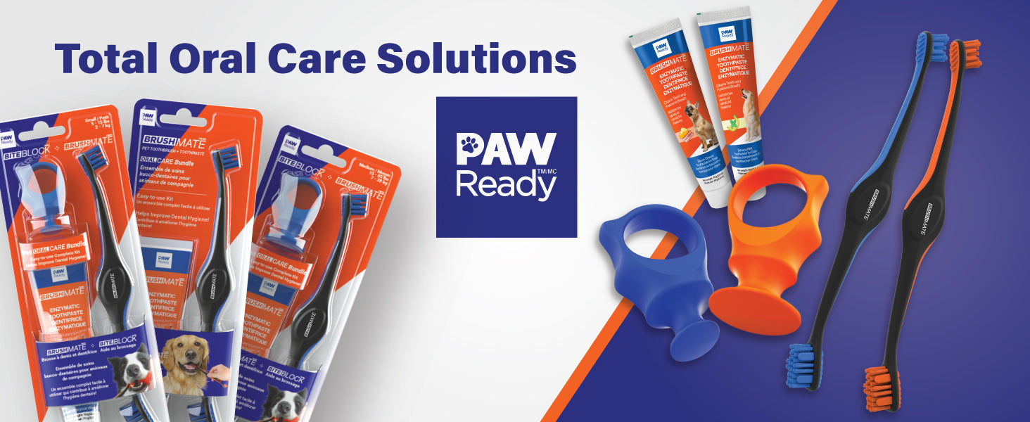 Pet Oral Care solutions