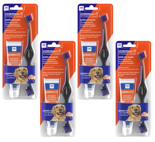 4 Brushing Kits