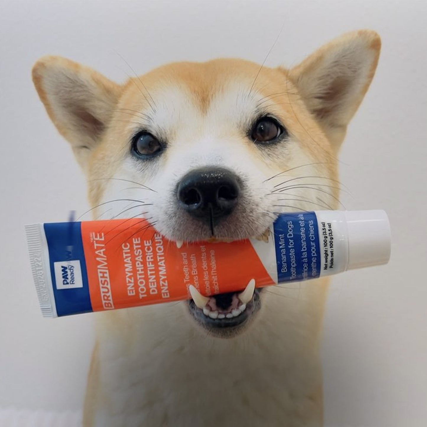 Enzymatic Dog Toothpaste - 1 Pack 100g