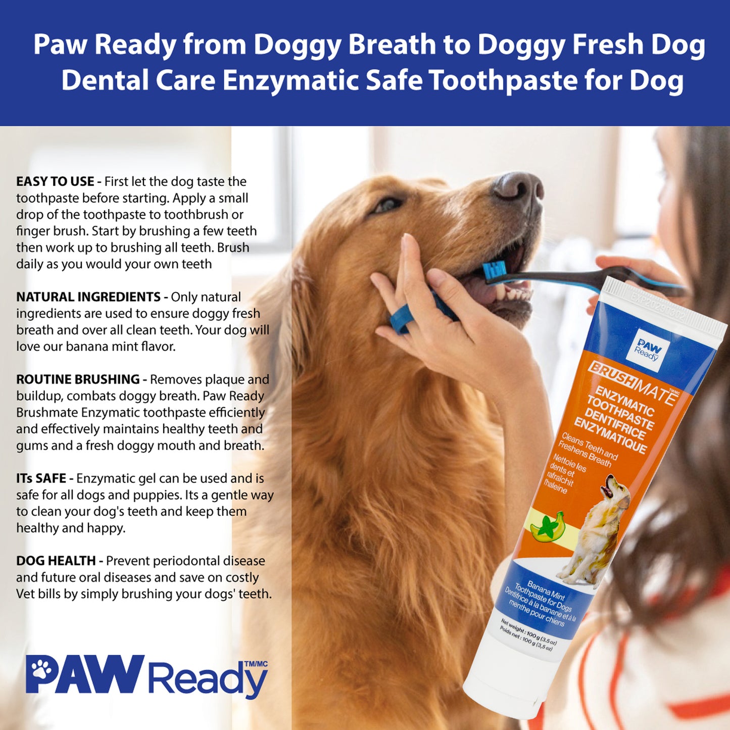 Enzymatic Dog Toothpaste - 1 Pack 100g