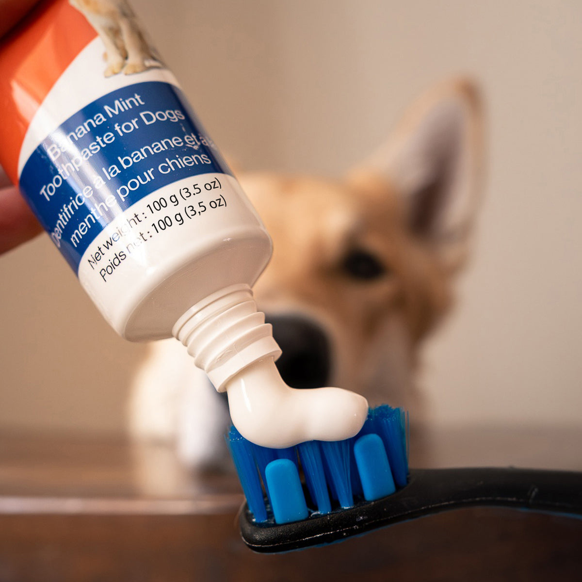 Enzymatic Dog Toothpaste - 1 Pack 100g