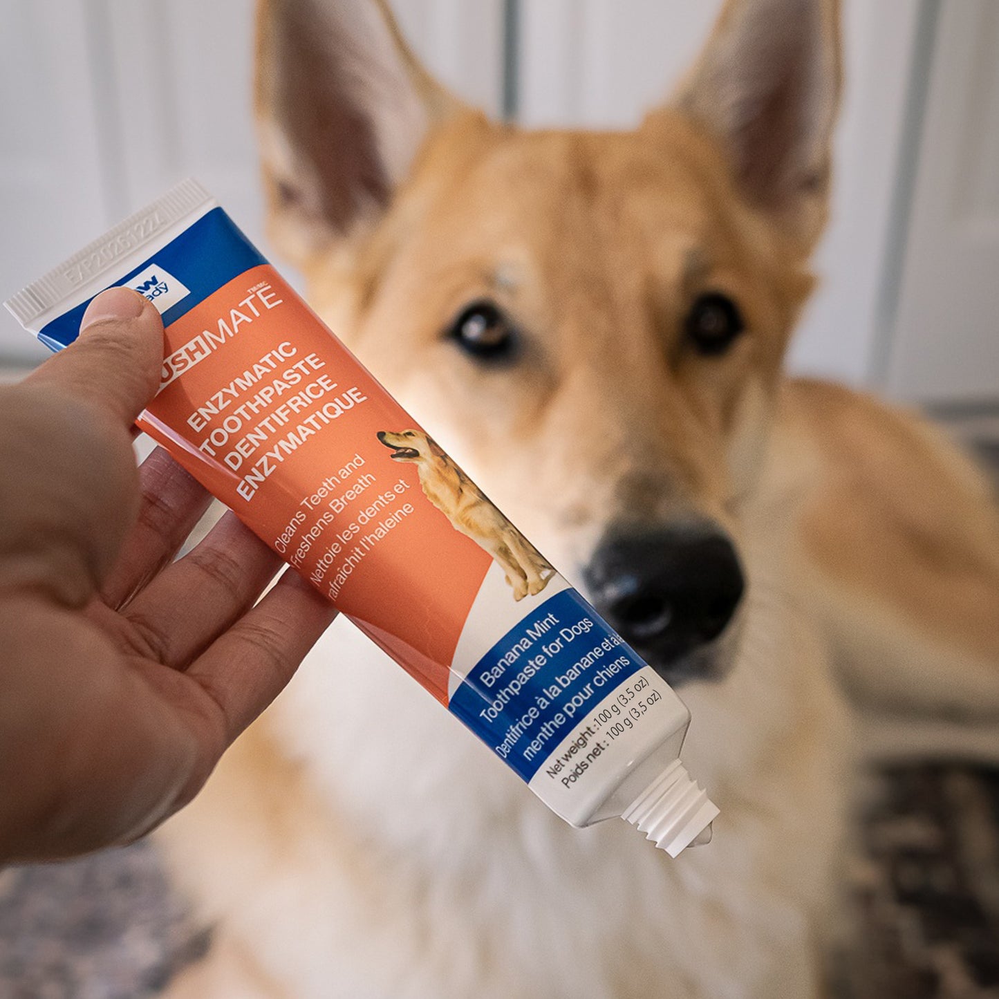 Enzymatic Dog Toothpaste - 1 Pack 100g