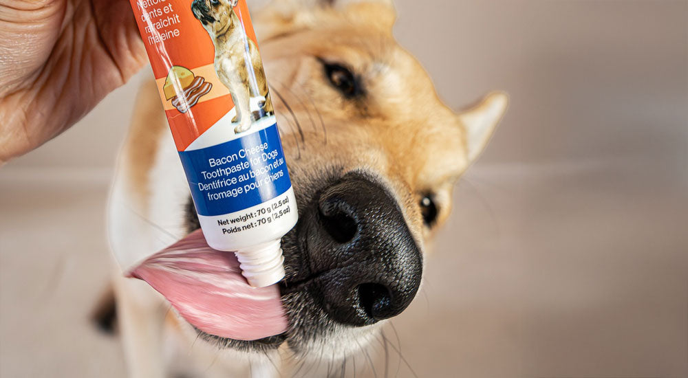 4 Pack Enzymatic Pet Toothpaste
